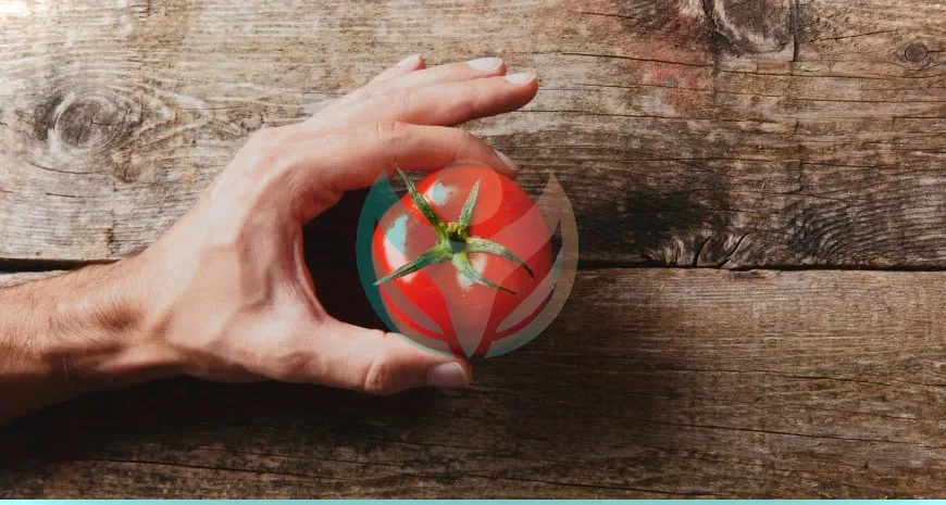 Mano con tomate sobre madera
