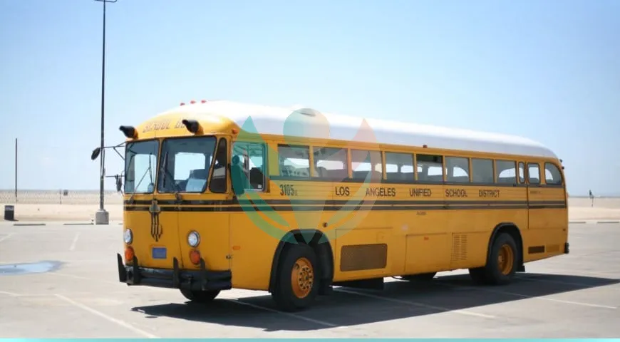 autobús escolar